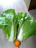 04-11-29_11-37.jpg